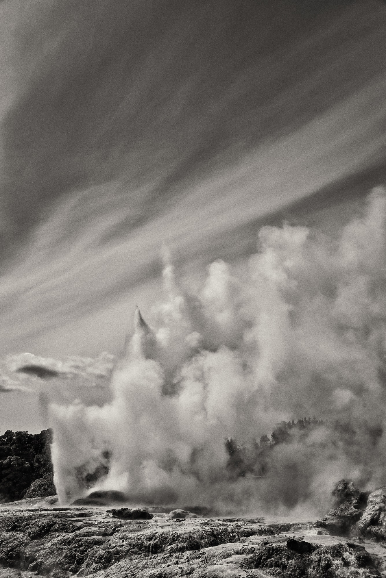 geyser in New Zealand