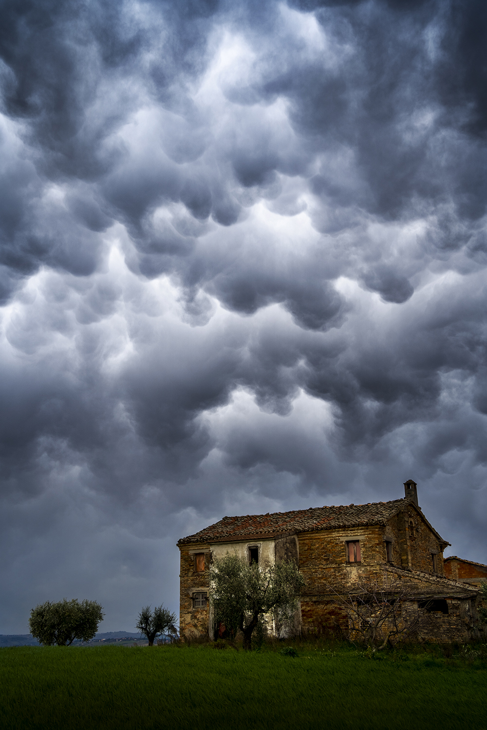 Nubi Mammatus