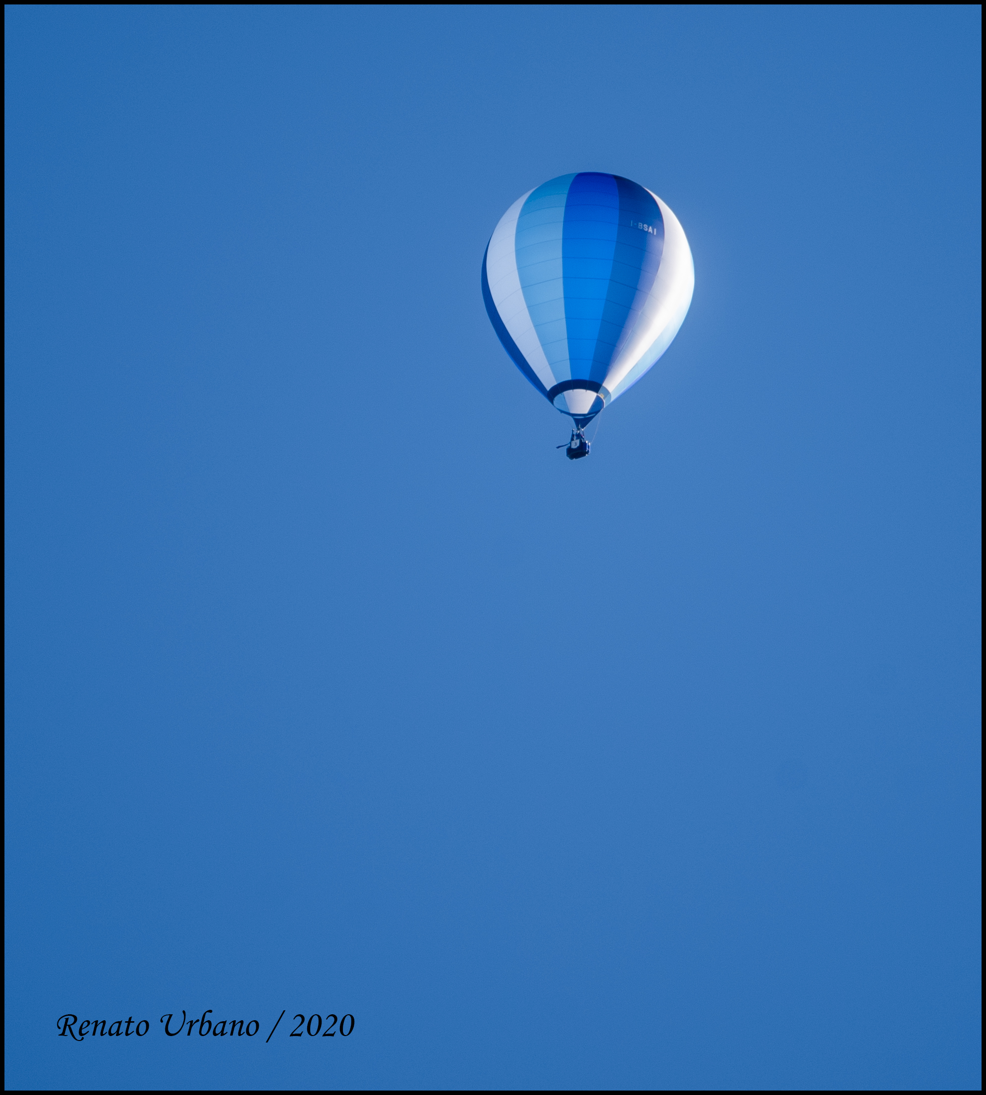 A day with his nose up (14)