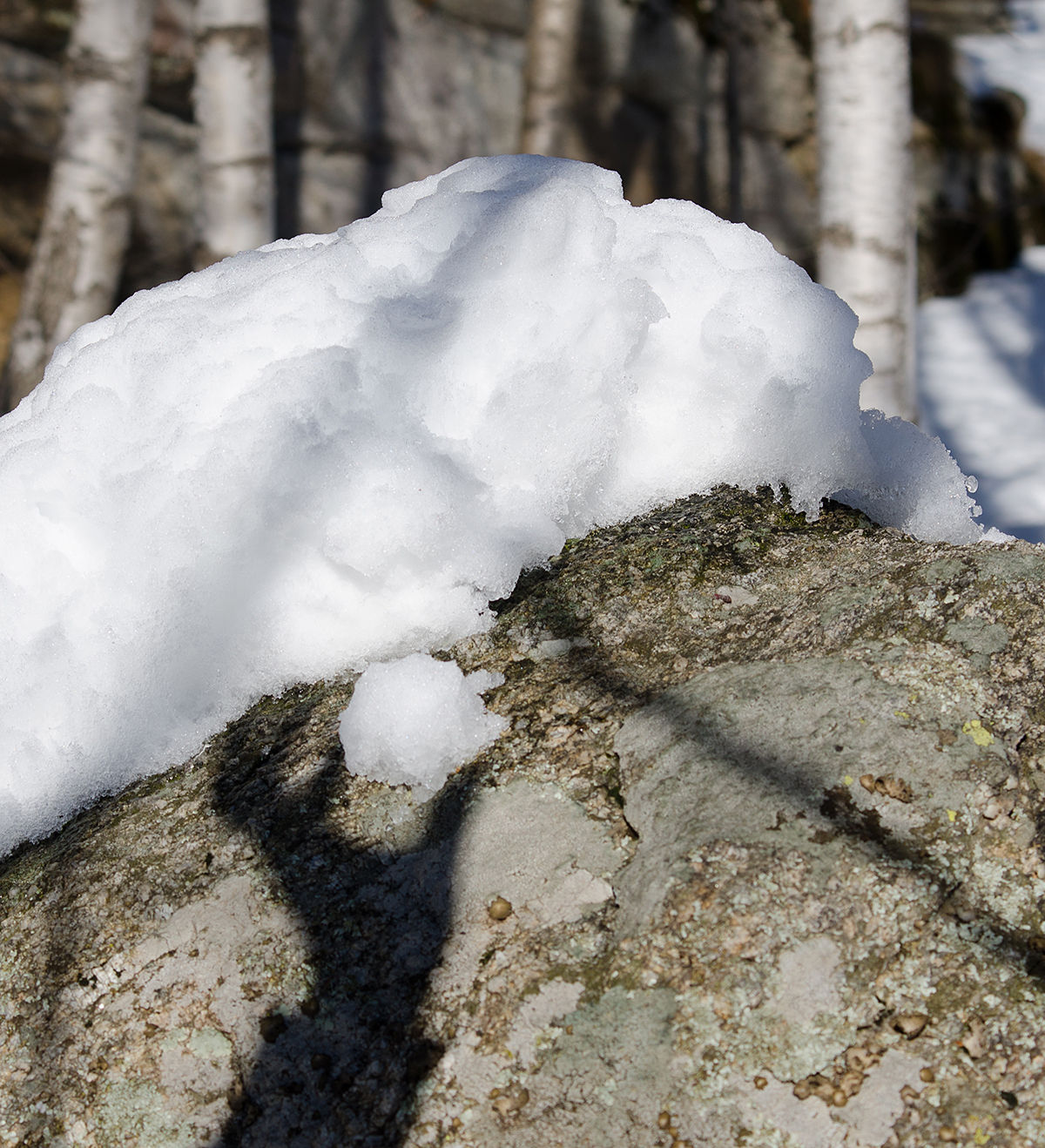 I'll take a piece of it.