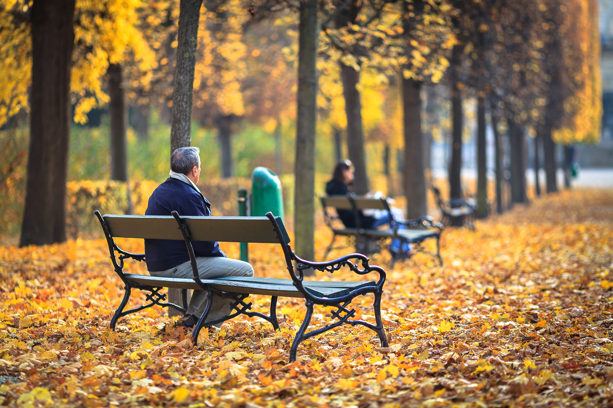 the colors of autumn