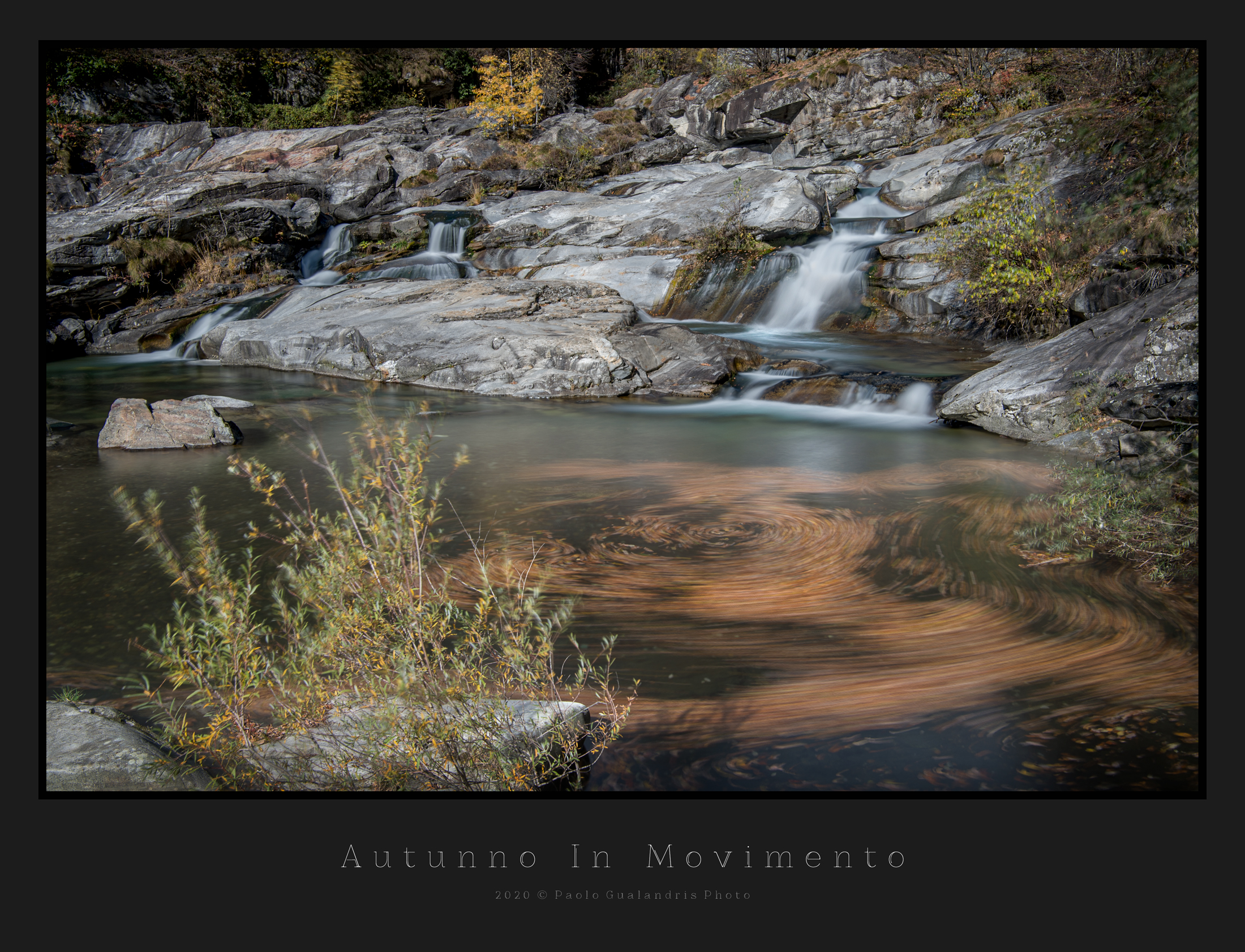 Autumn in Motion