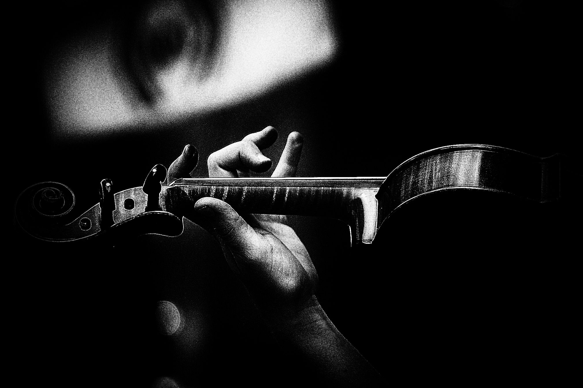 il suono del violino