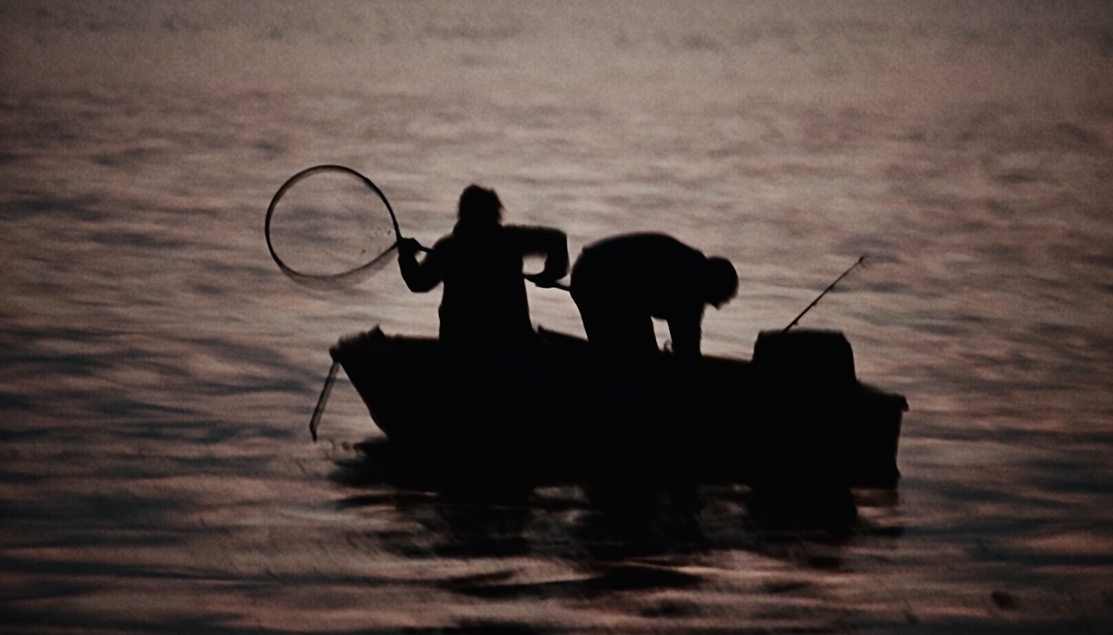 Mai girare le spalle a una donna