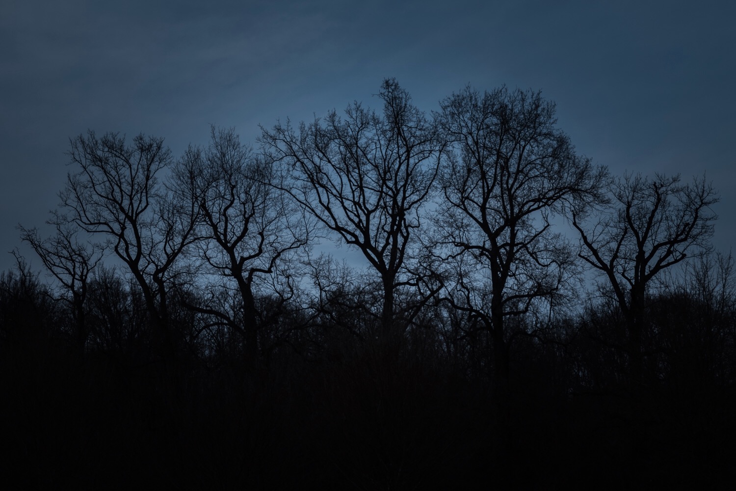 La Palude della Tristezza