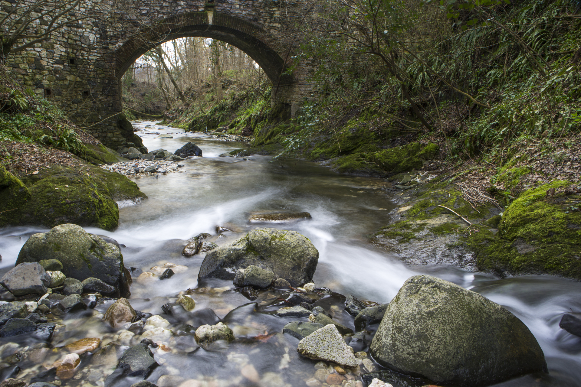 Sotto Sotto c'è ...