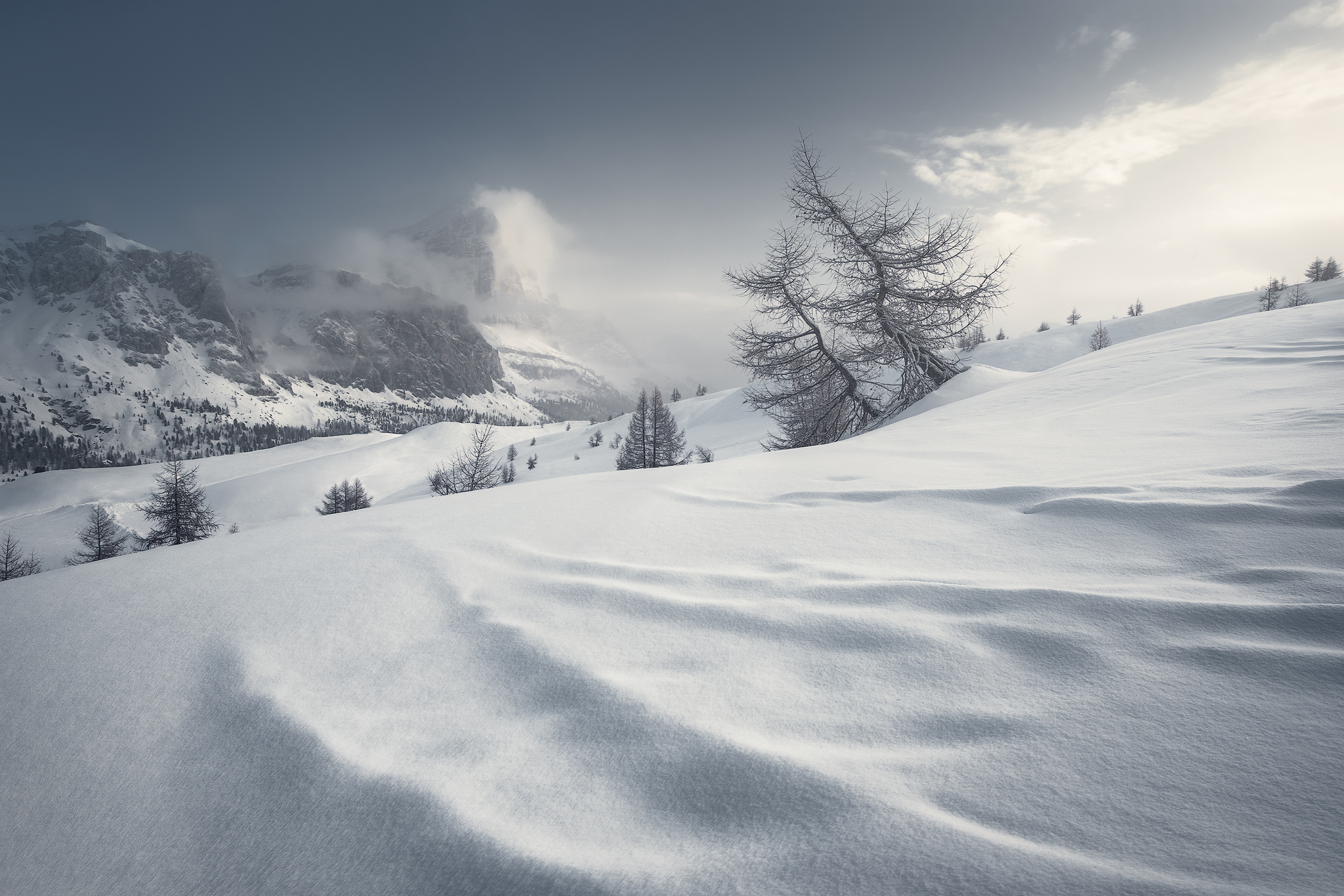 CURVES - Dolomites Natural Park