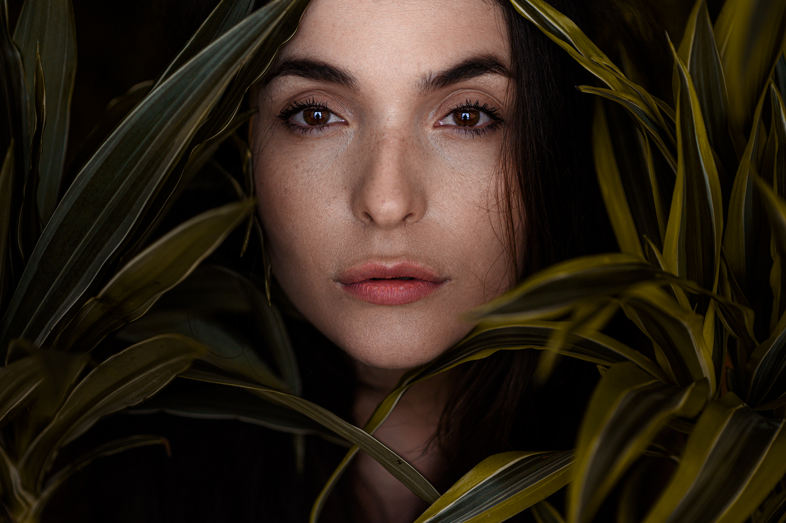 RebelShady, New York