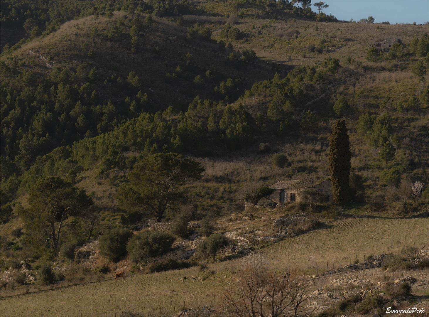campagne della sicilia