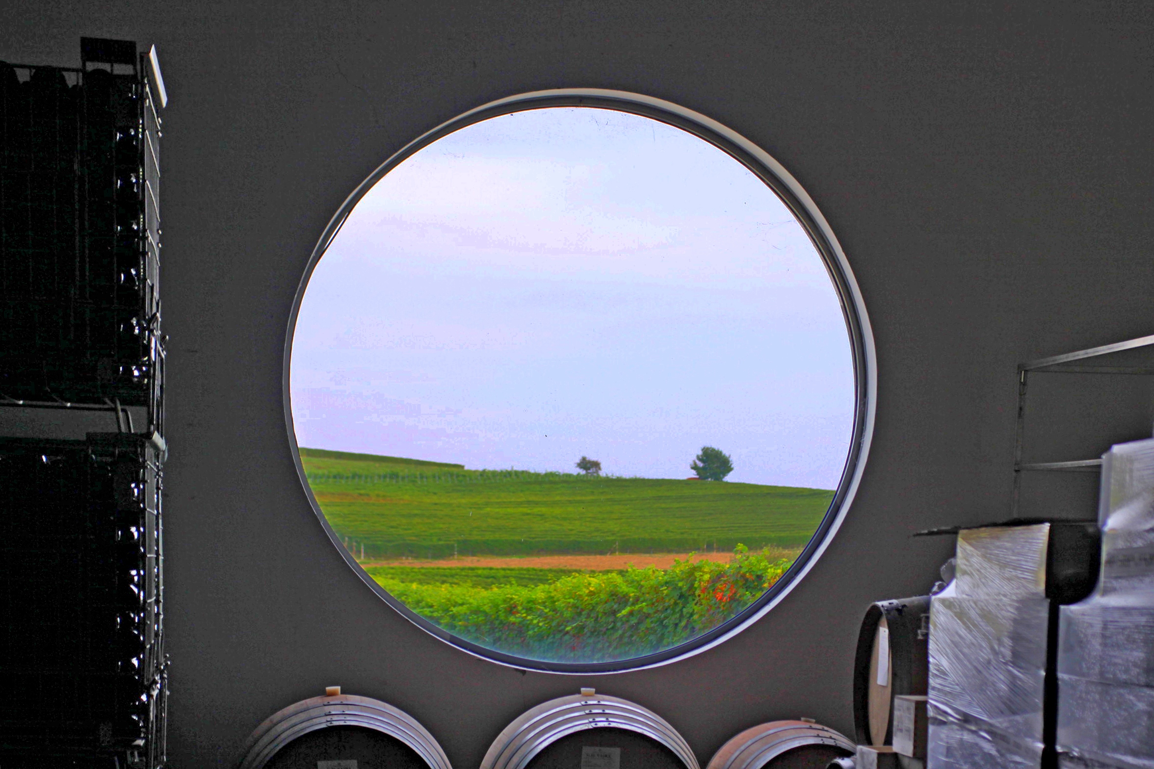 Barolo - La vigna vista dalla Cantina Vaira