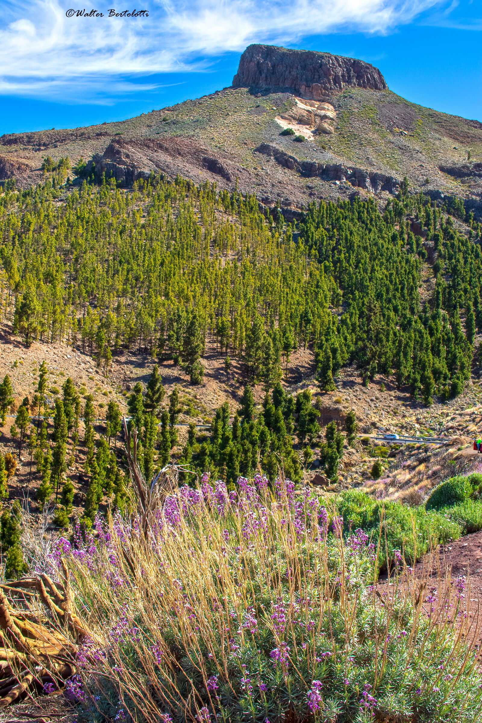 uno spicchio di paradiso