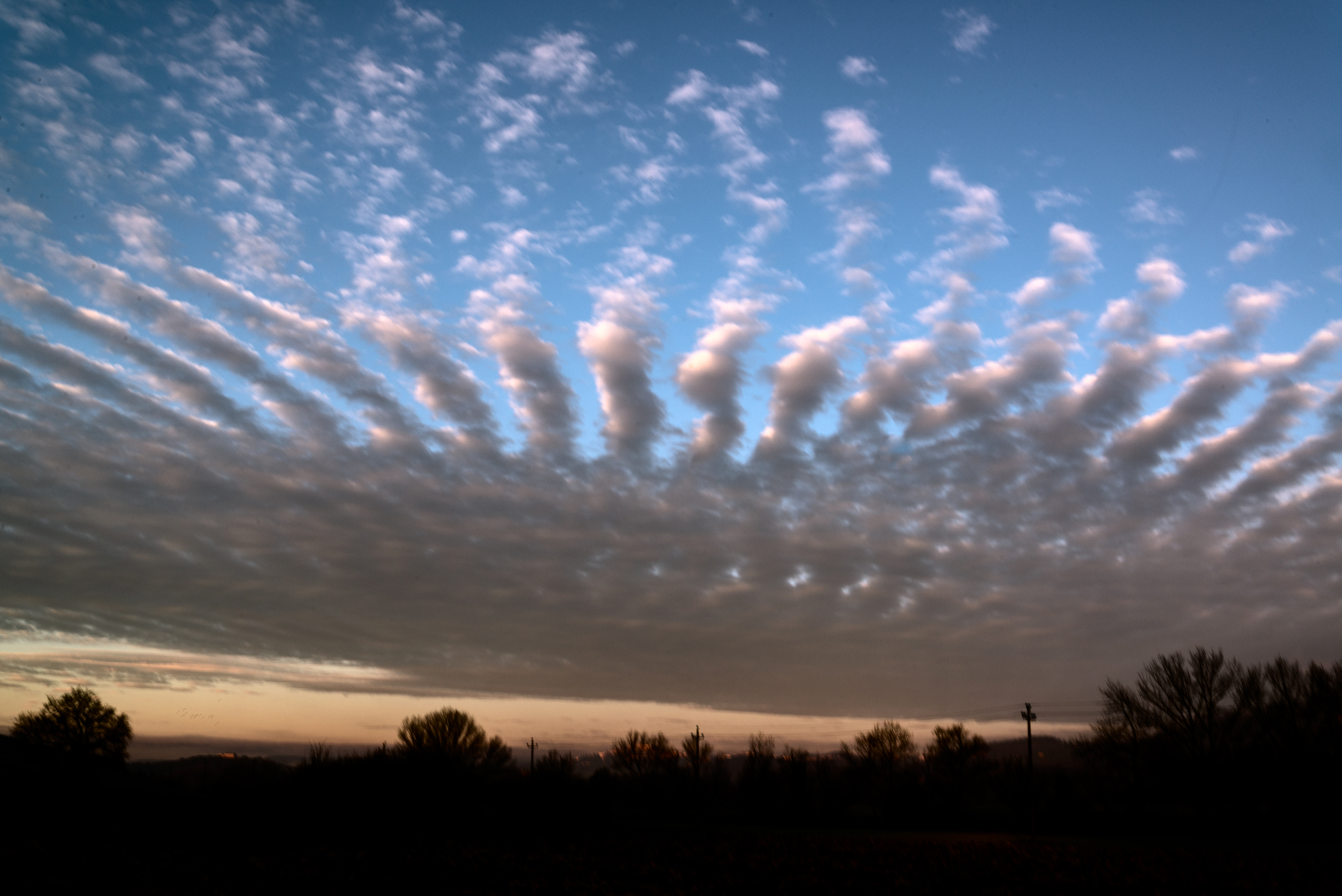 scatto venuto malissimo...