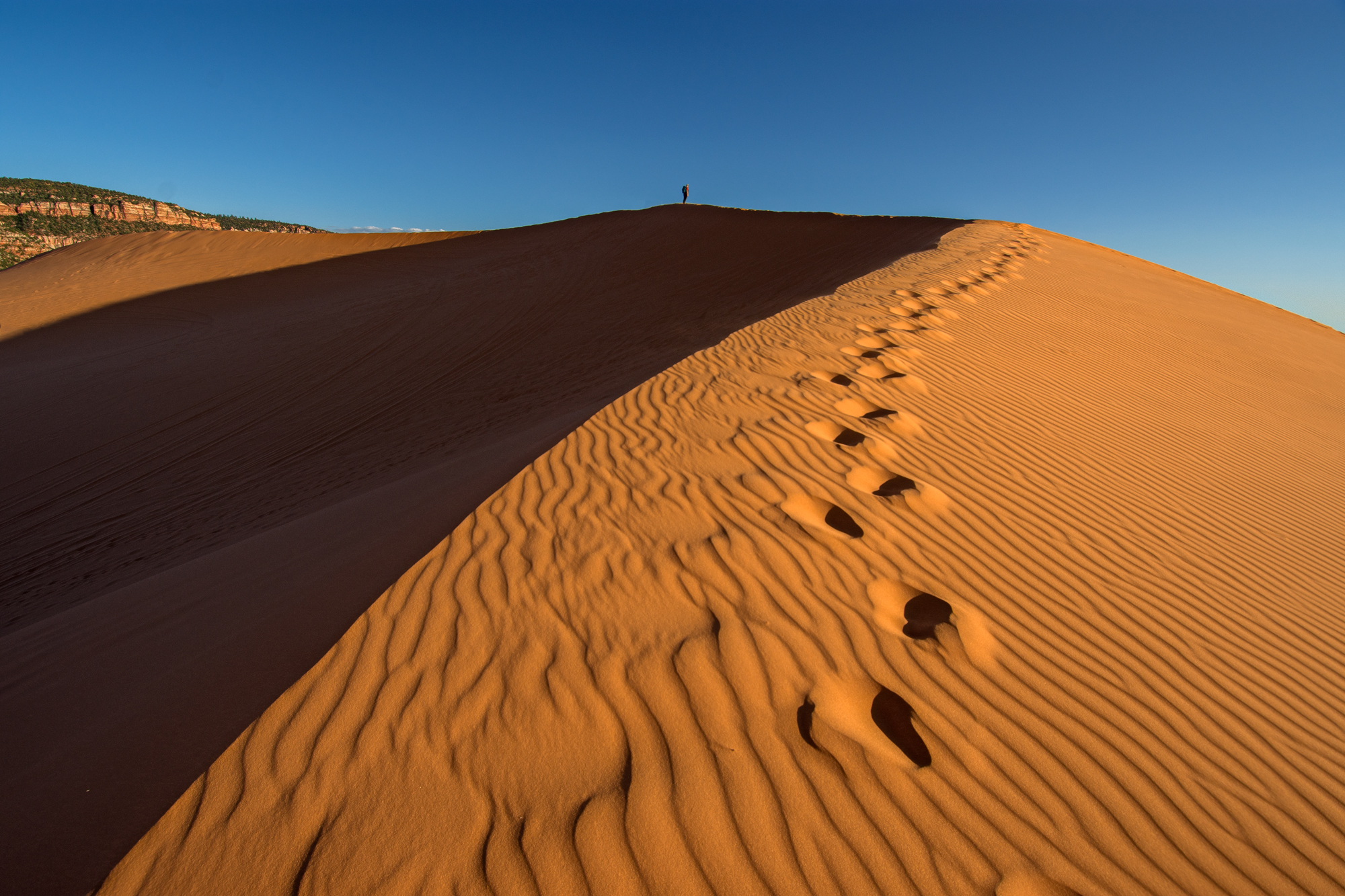 Coral Pink Sand Dunes