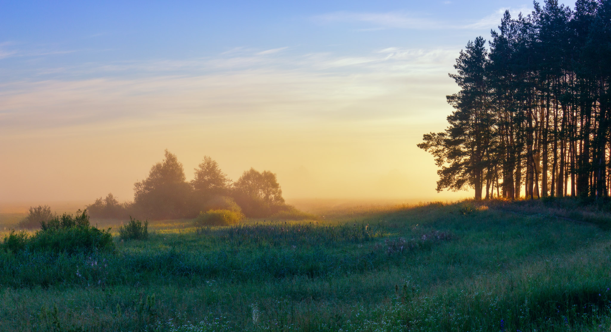 Foggy morning