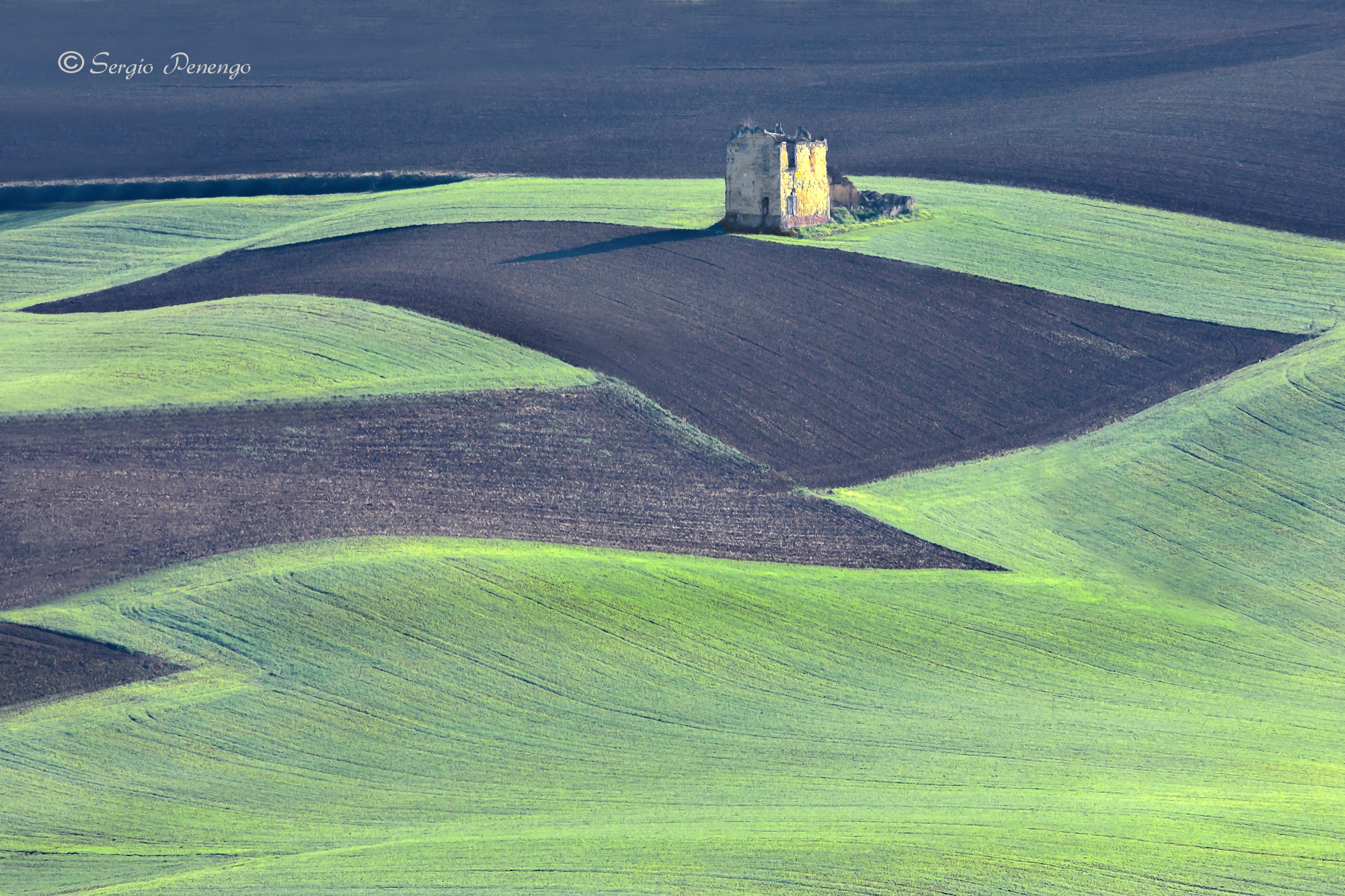 Inverno nel Monferrato