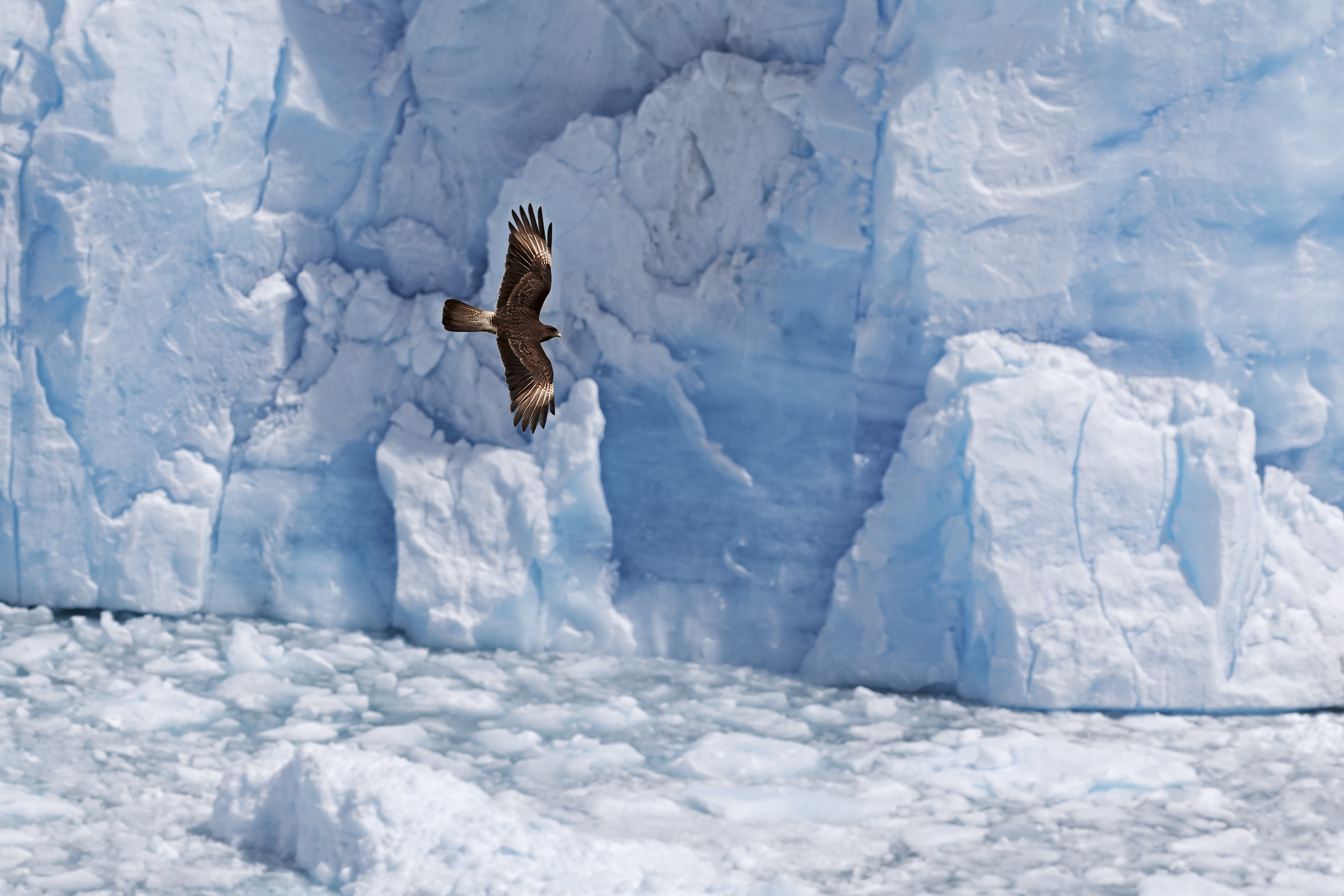 Flying over the glacier