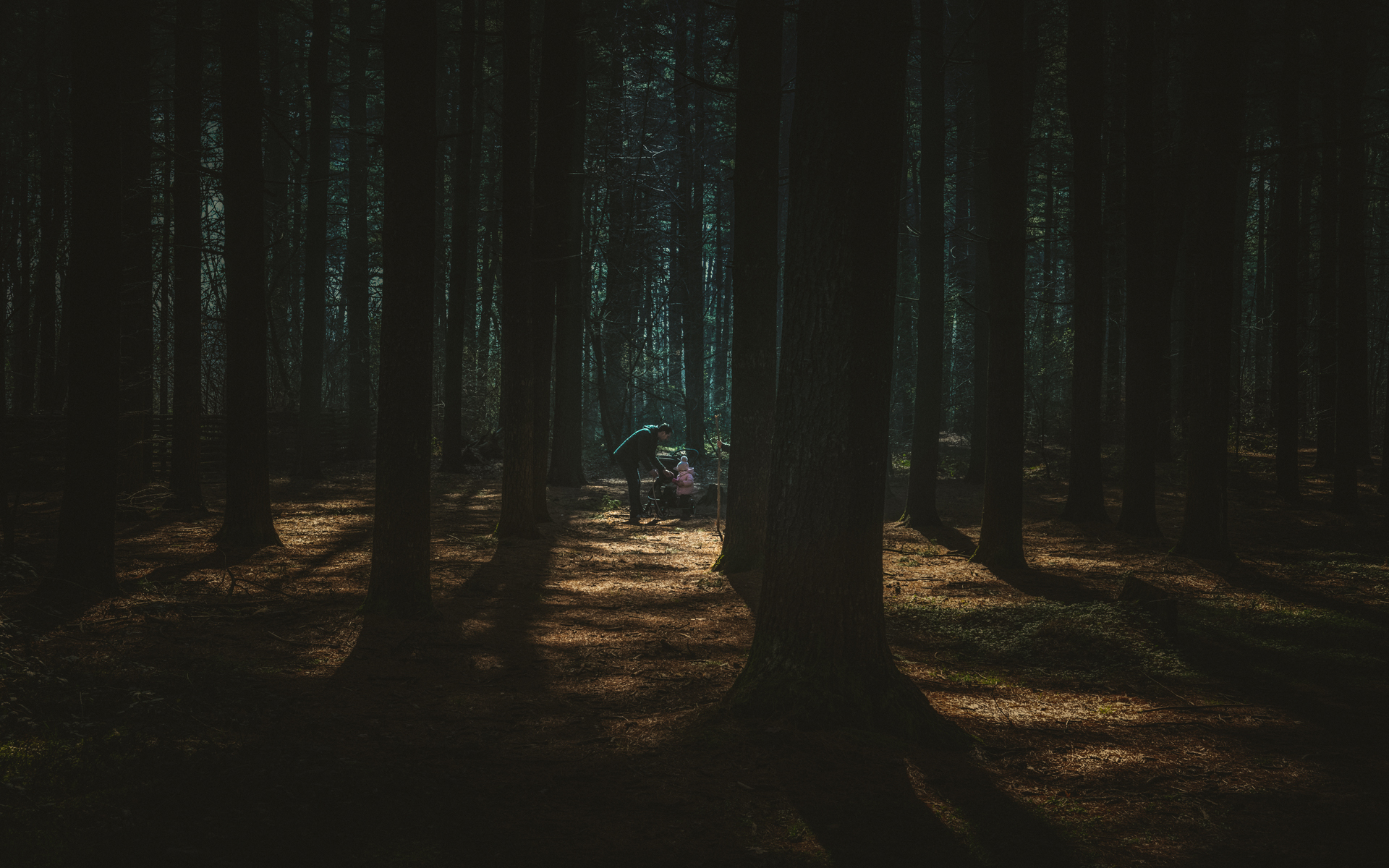 Two steps in a forest