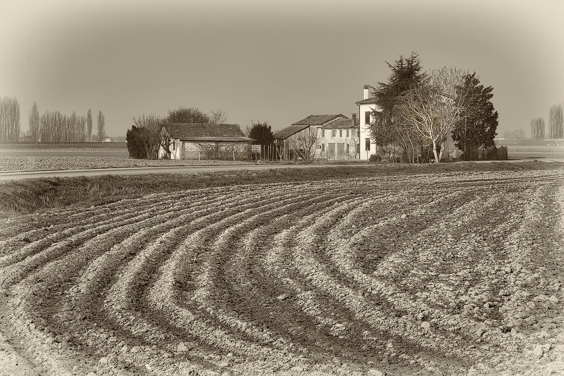 Fattoria