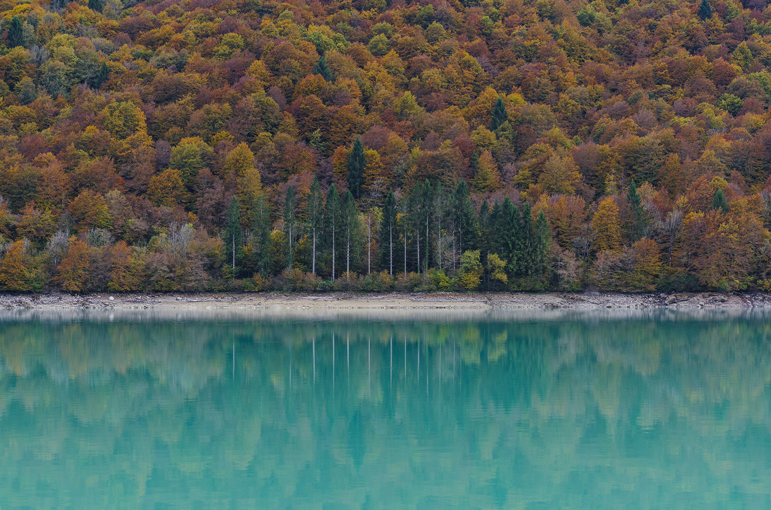 " When autumn comes in beautiful Barcis "