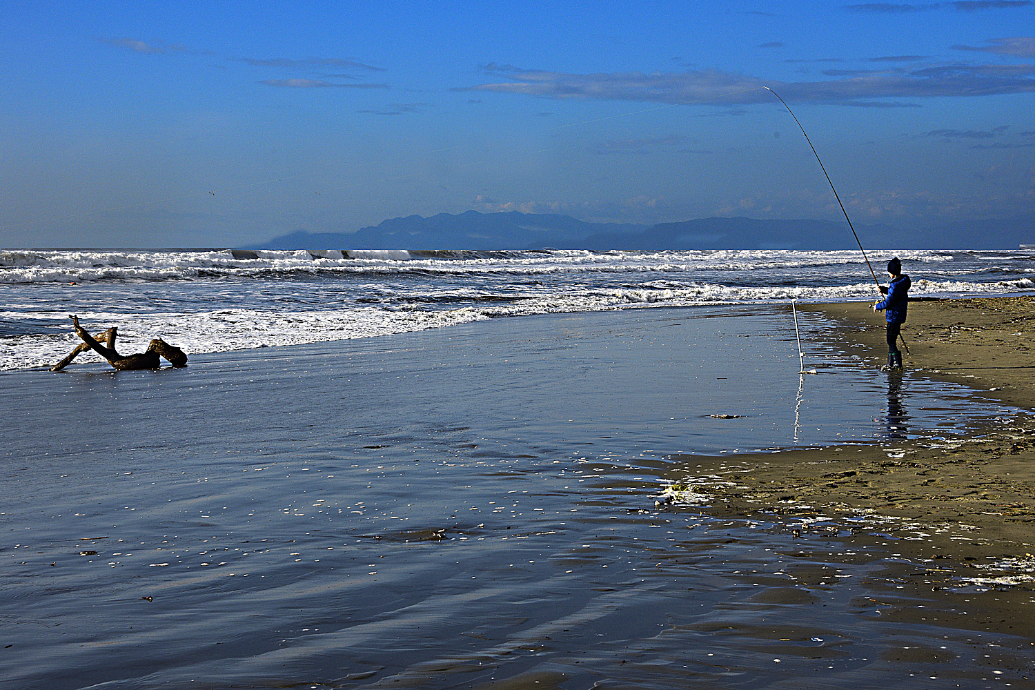 Sampei e il  tronco...