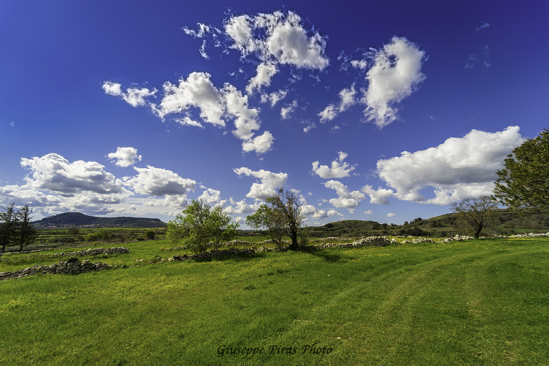 La primavera è in arrivo
