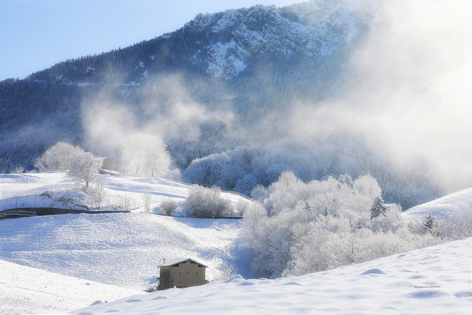 Paesaggio imbiancato