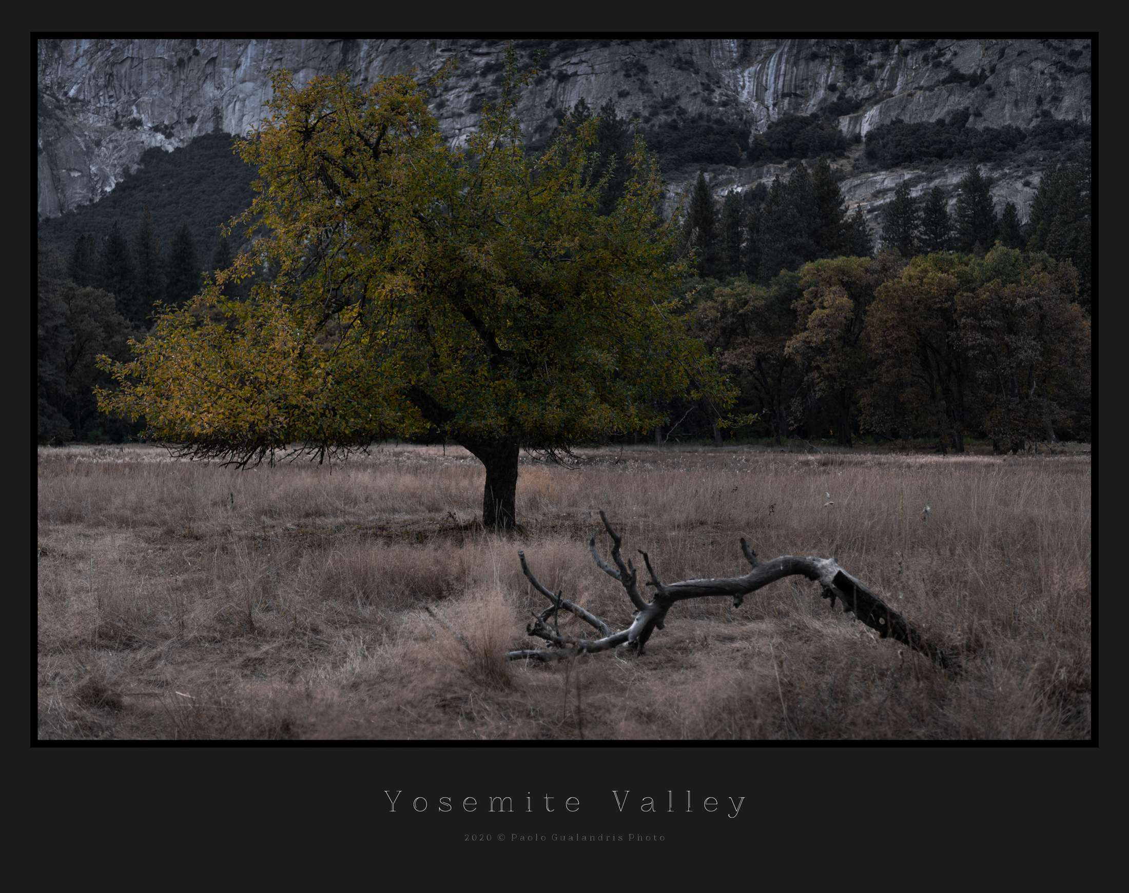 Yosemite Valley