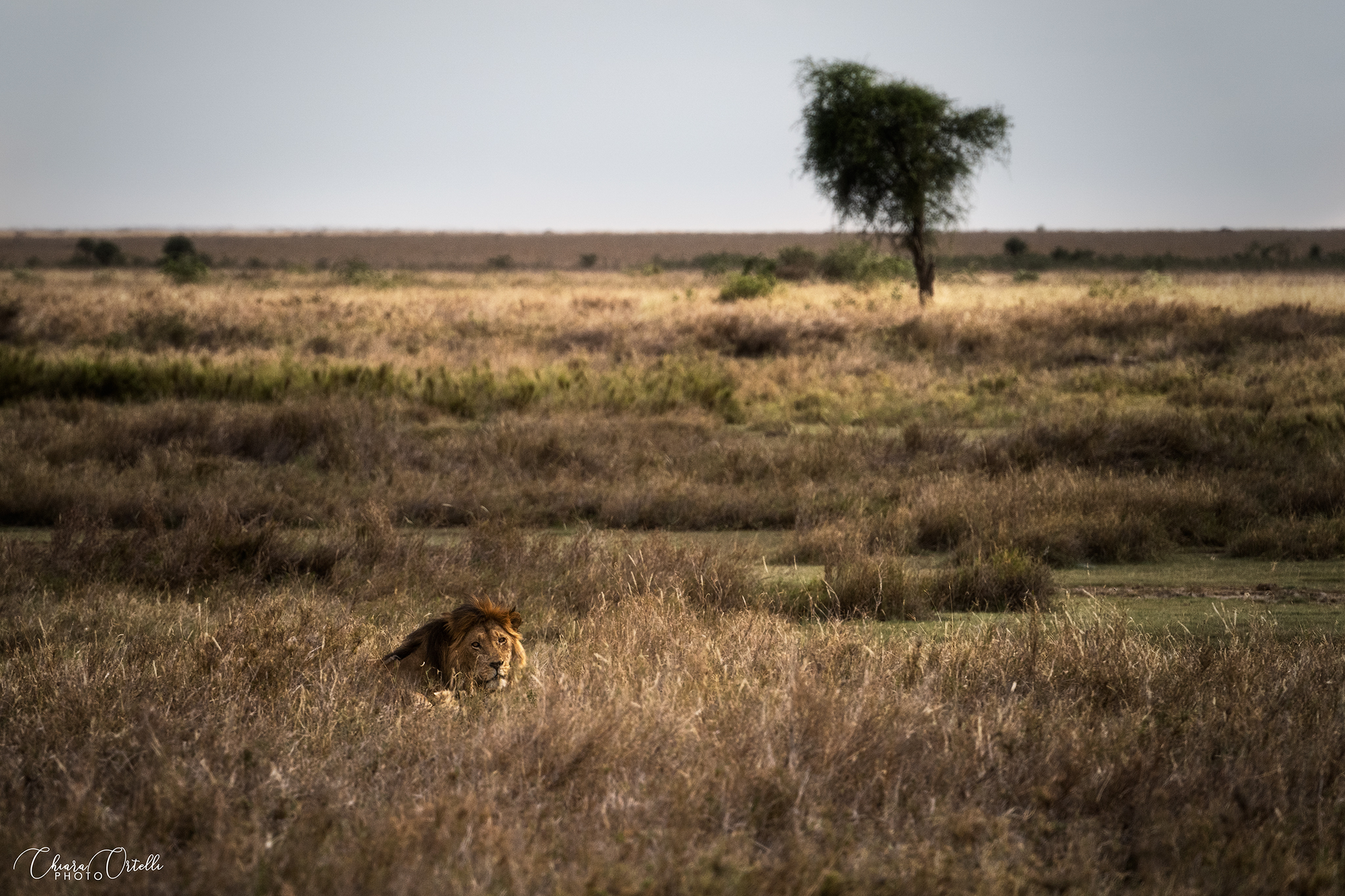 The first time you never forget