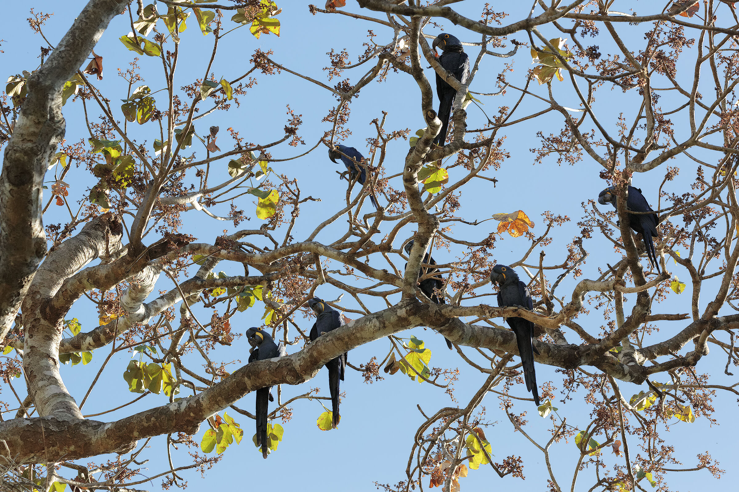 L'allegro condominio