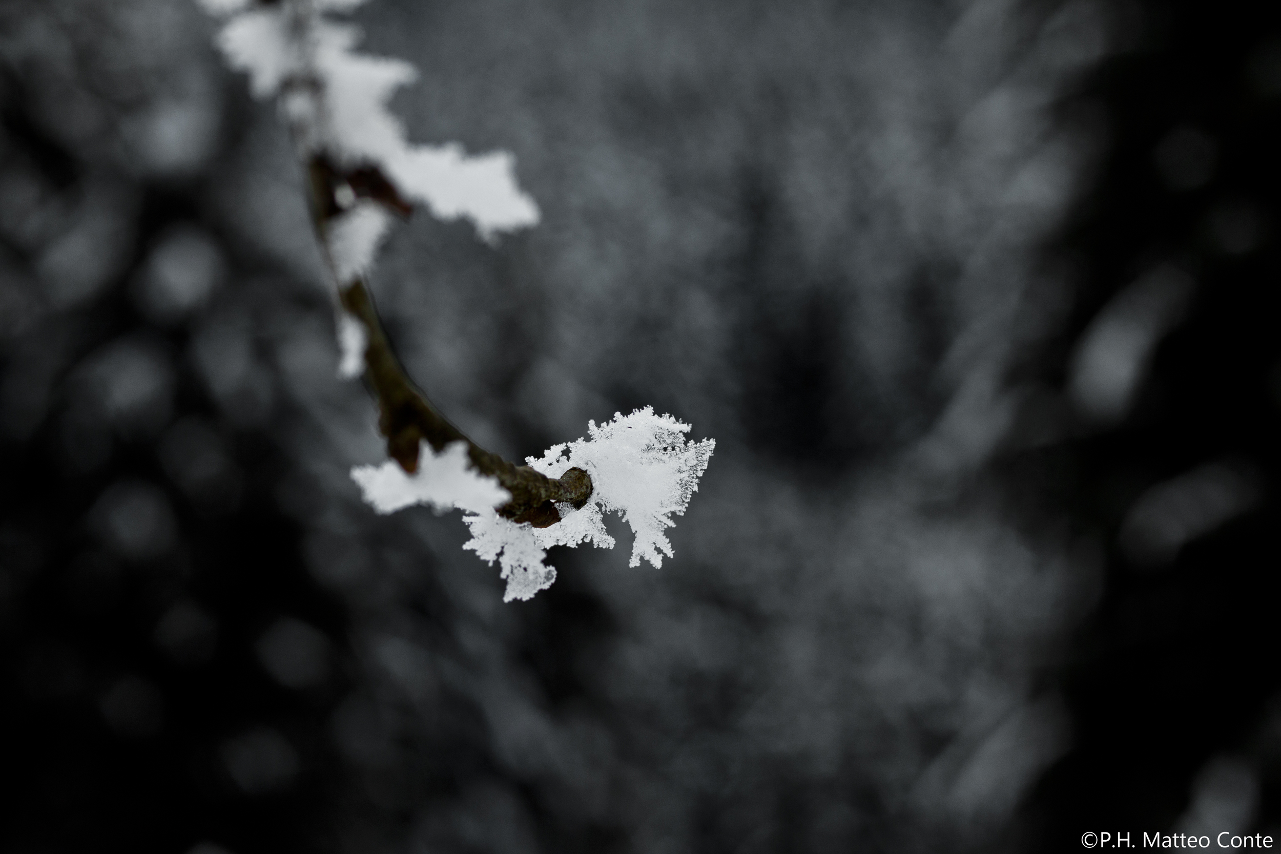 Cristalli di ghiaccio