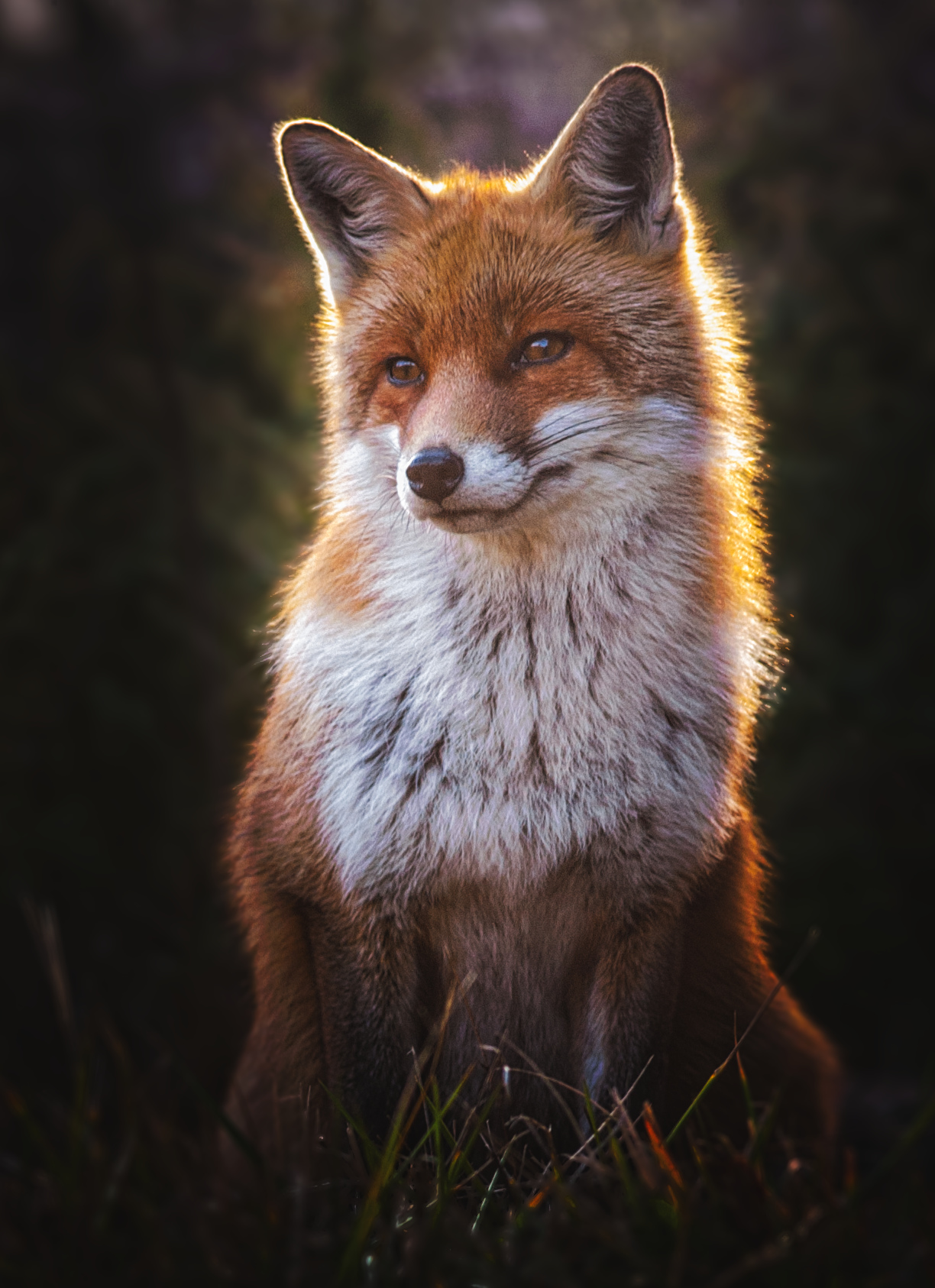 For a moment in a pose