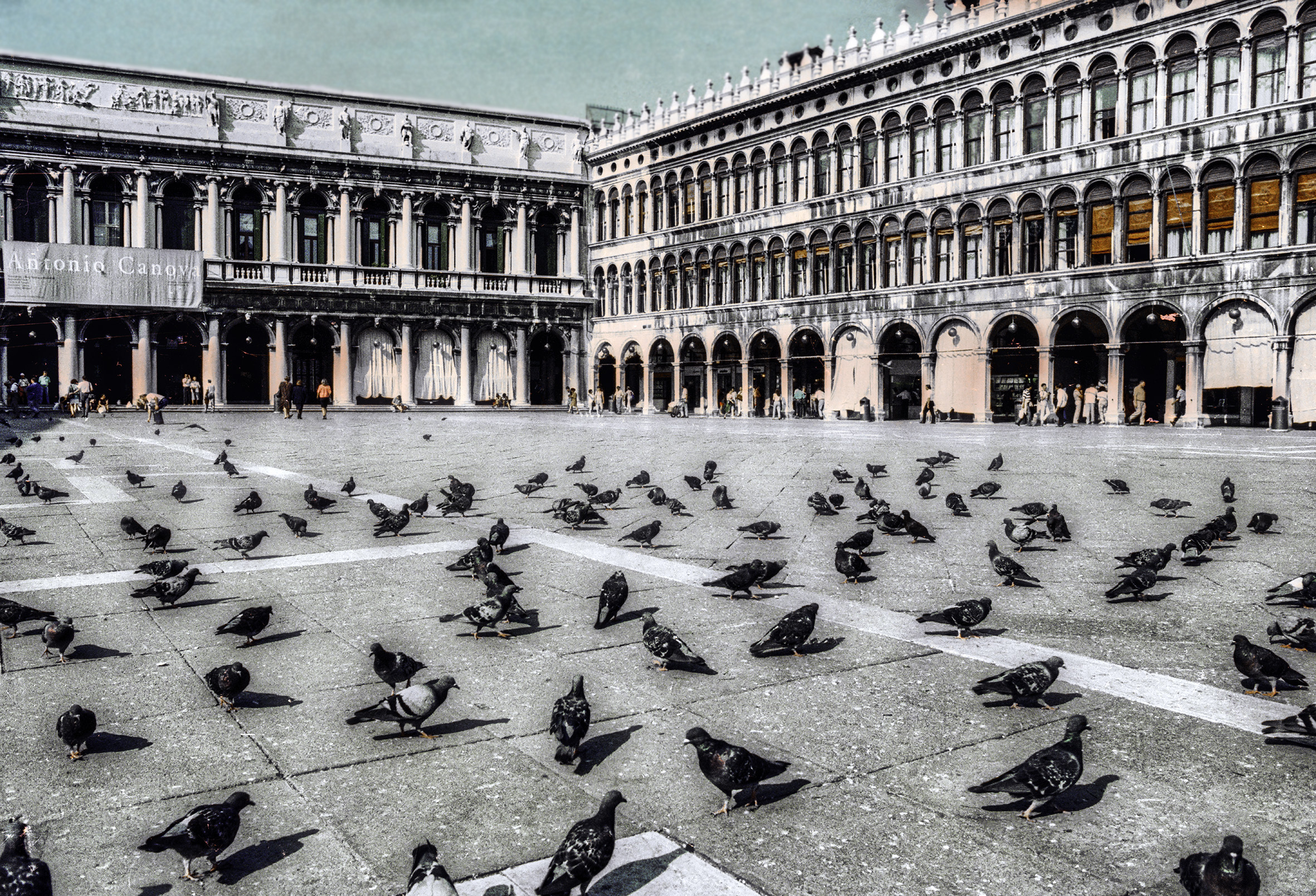 Un giorno di settembre a piazza S.Marco