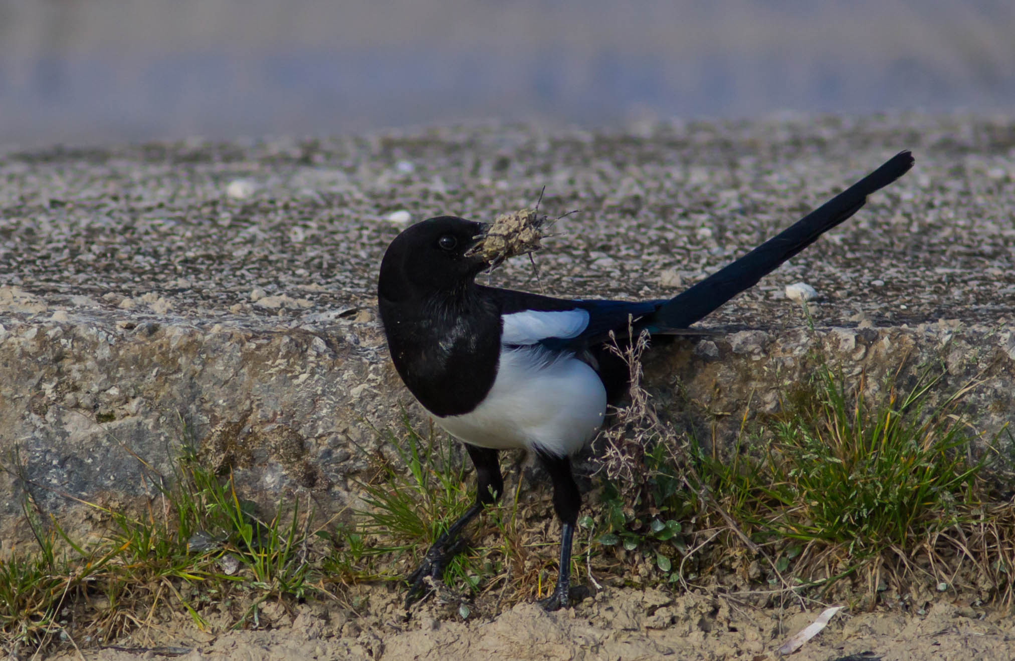 Tempo di costruzioni