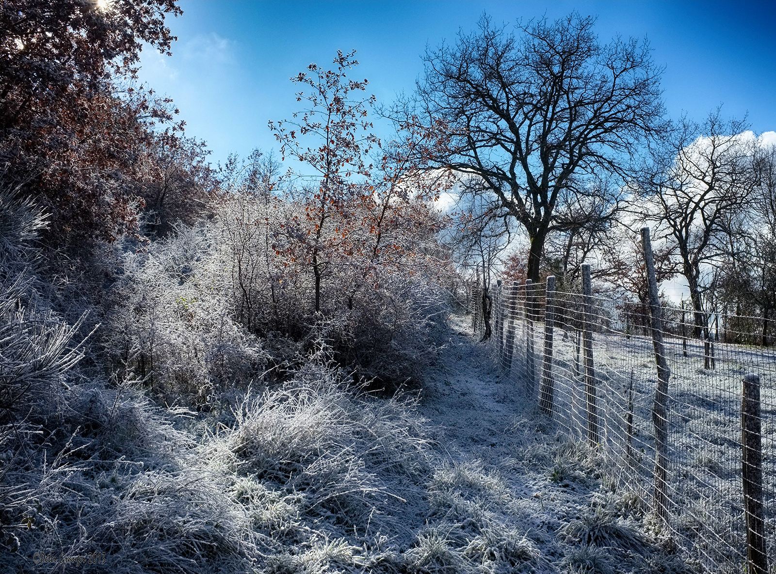 trekking in chianti 2