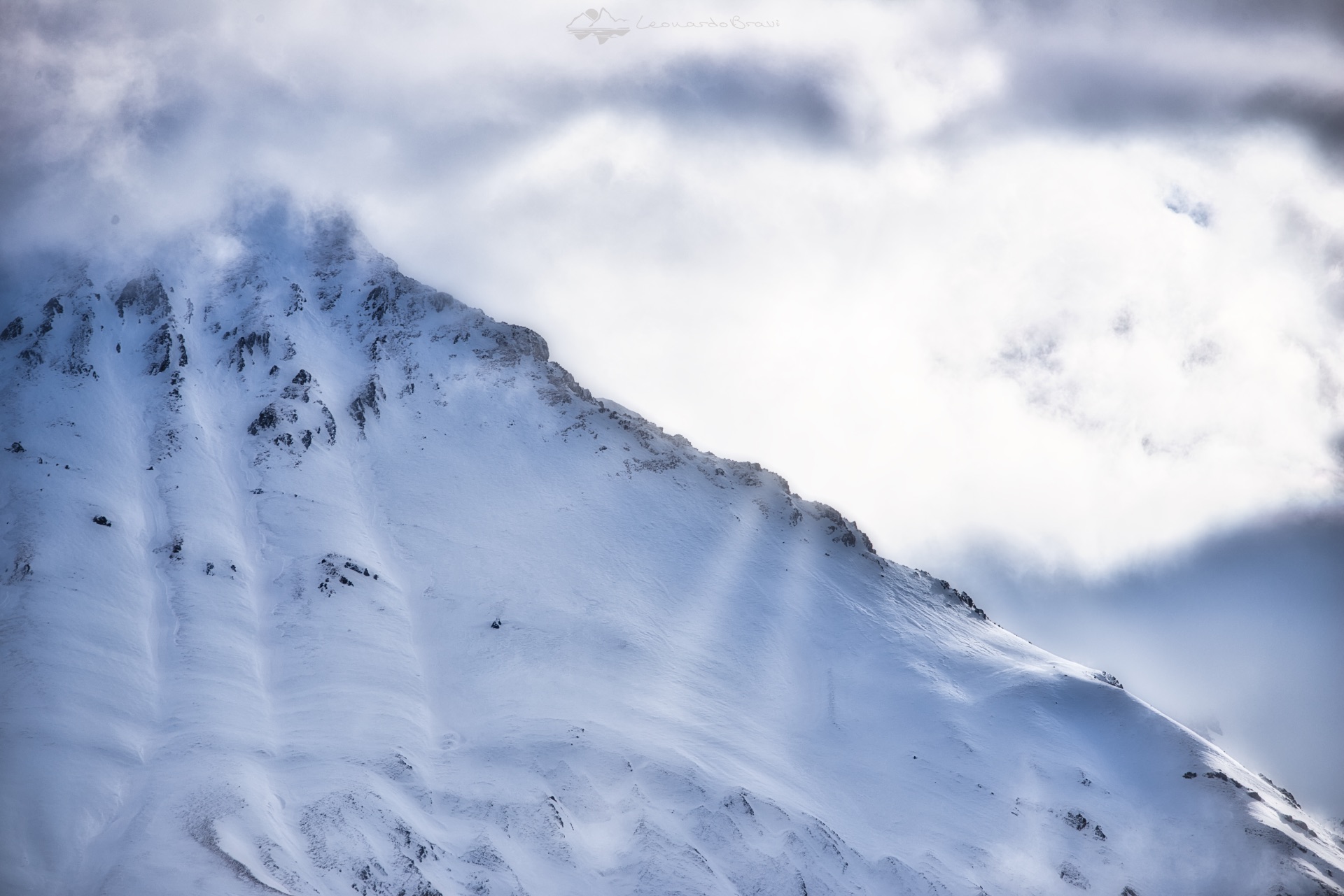 A glimpse of the rav crow's mount