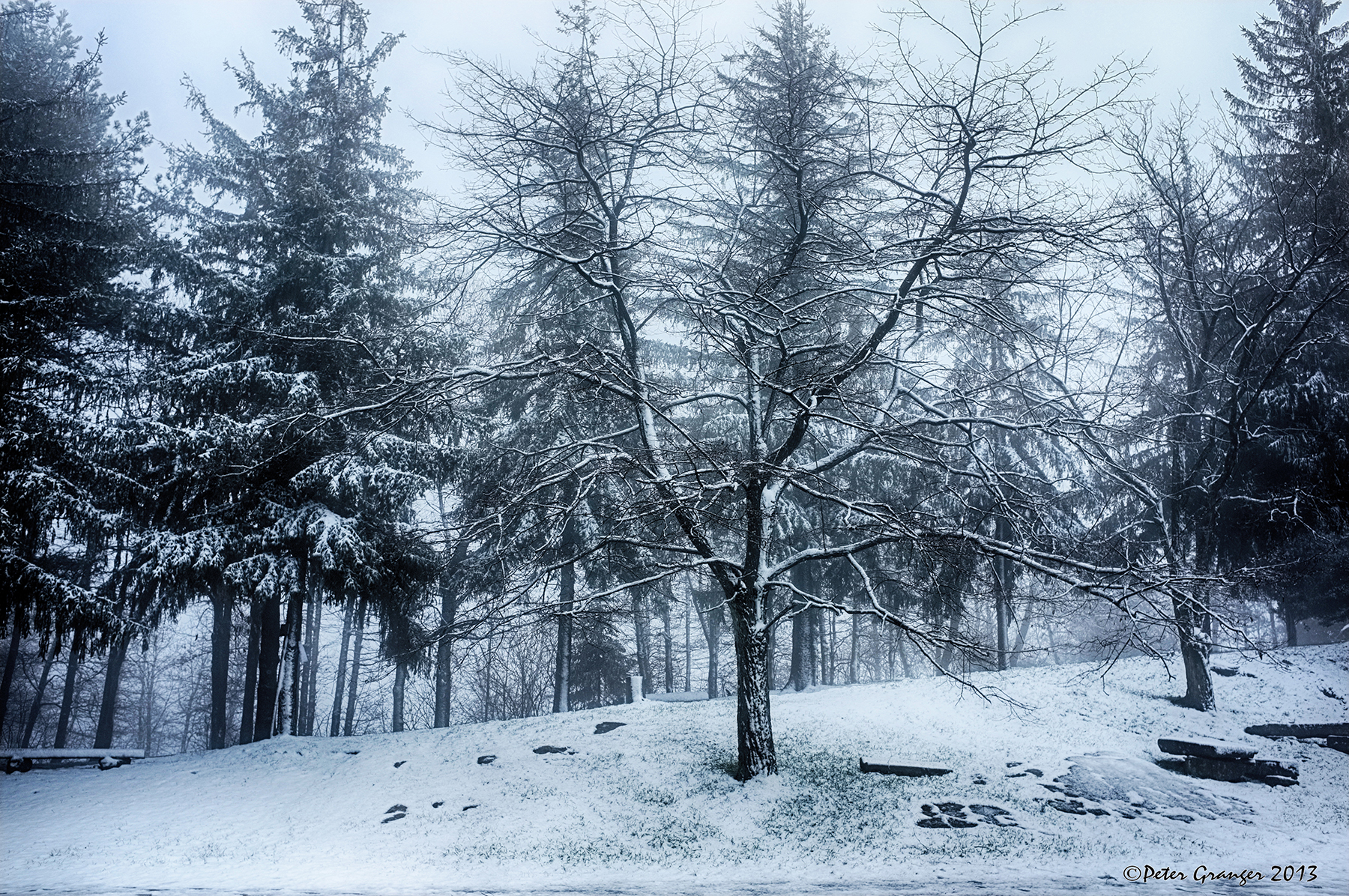 Convent sanctuary of Monte senario 3