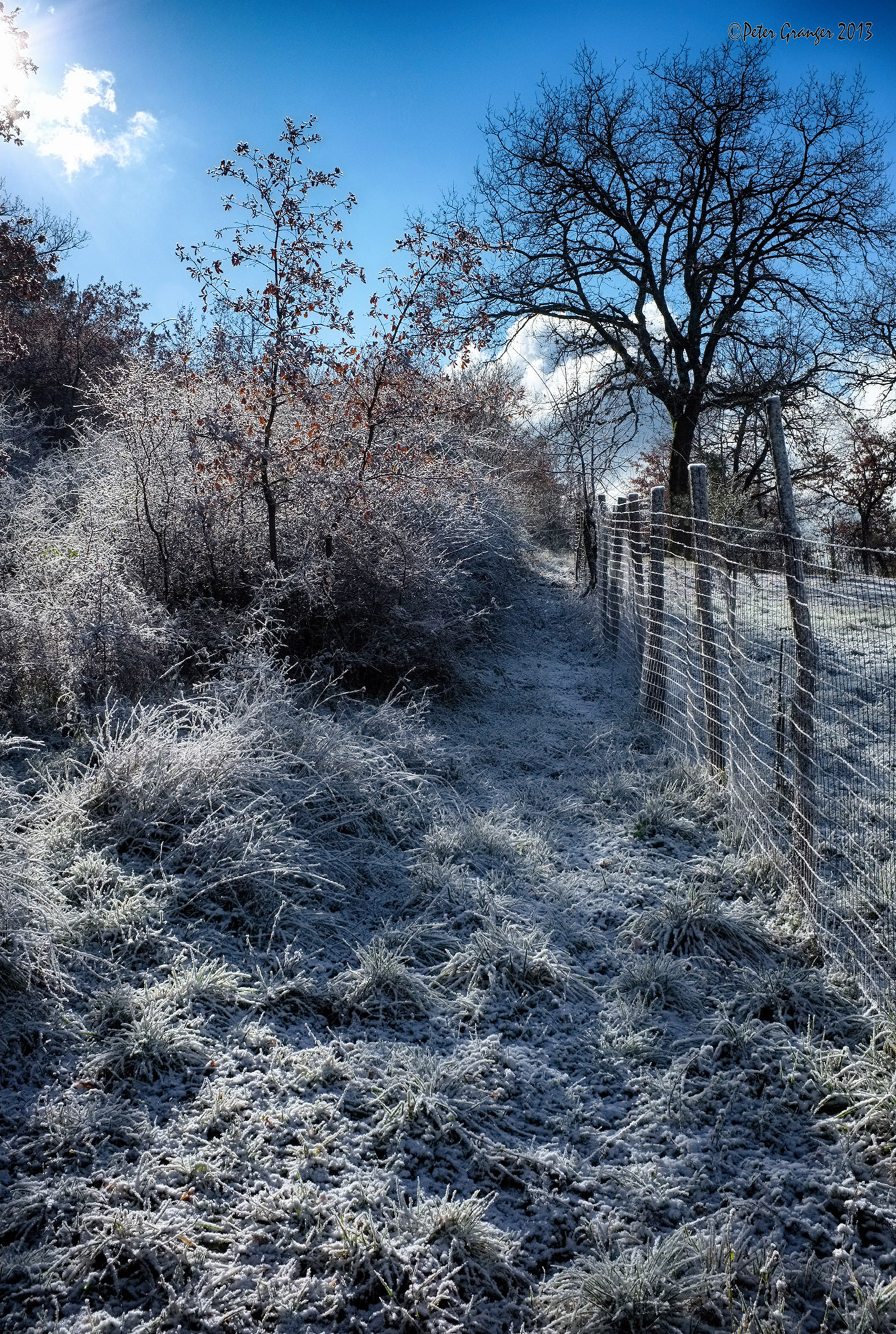 trekking in chianti - 4