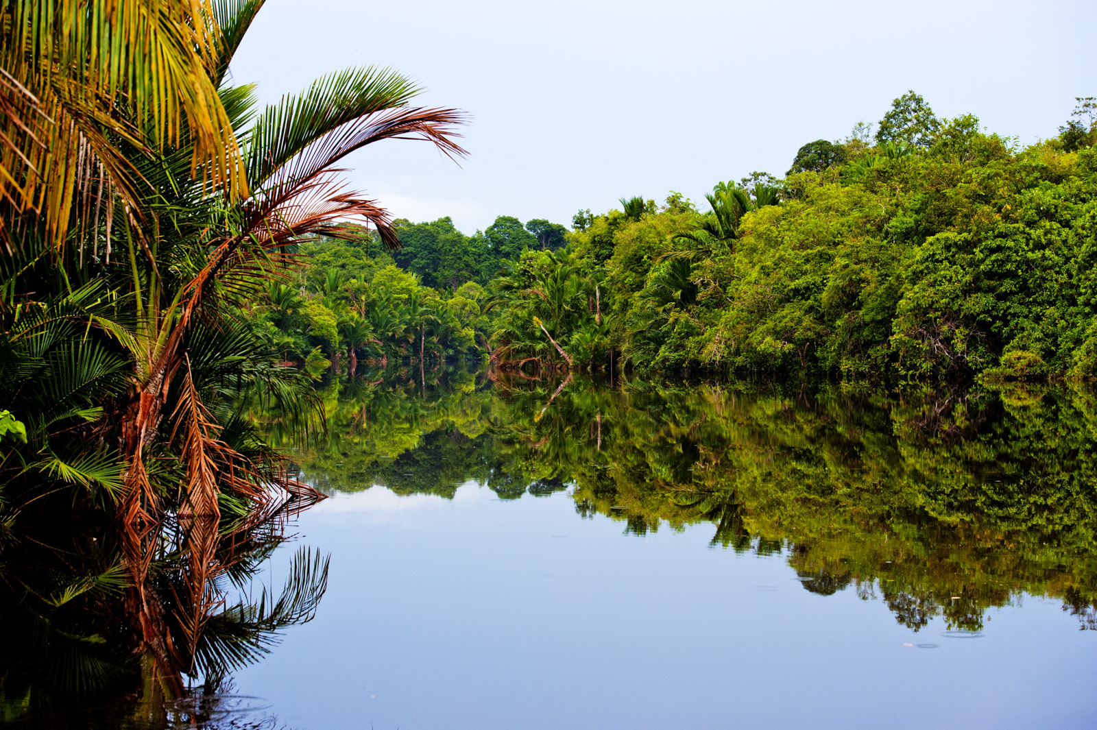 Fiume Mirror (Brunei)