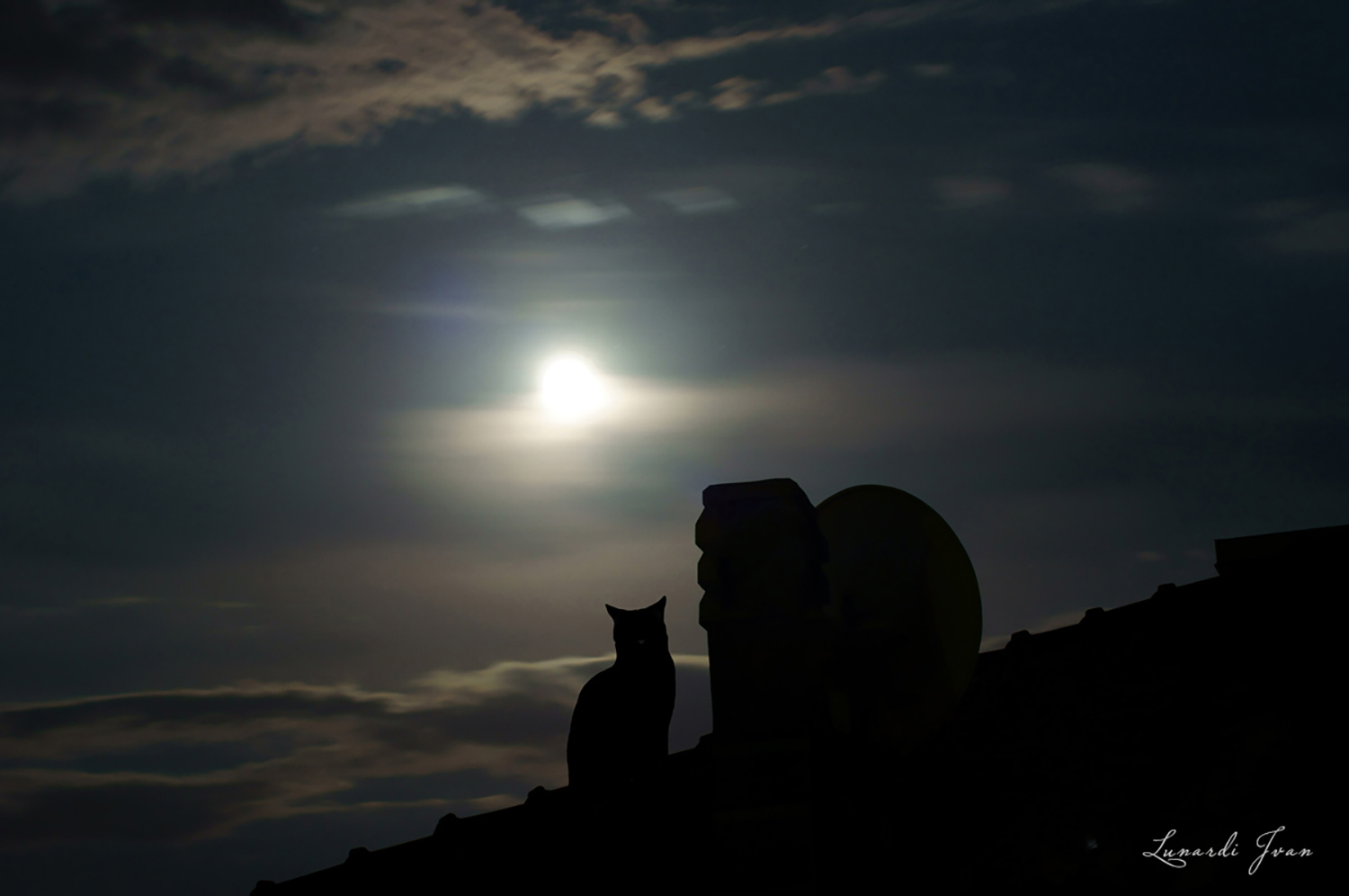 La luna e la gatta