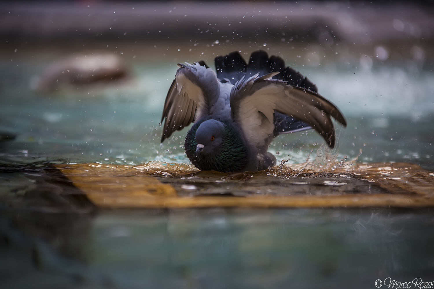 Sotto le ascelle con vigore..