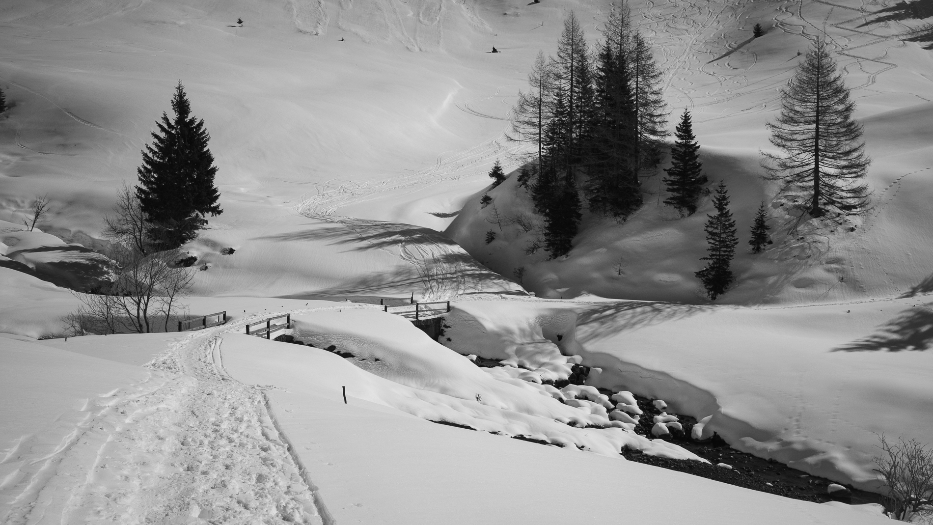 Entrando nel mondo bianco...