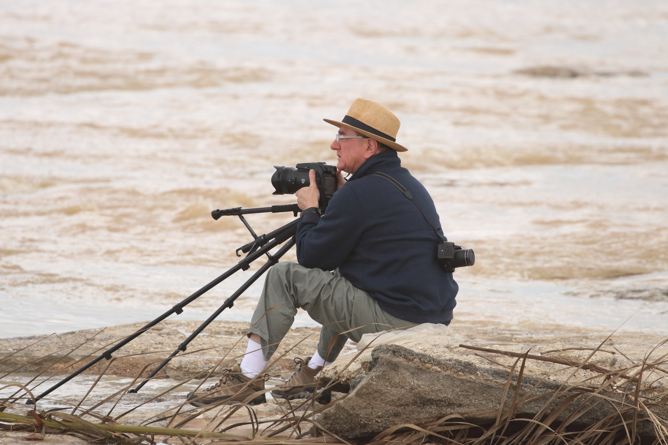 Compagno di birdwatching