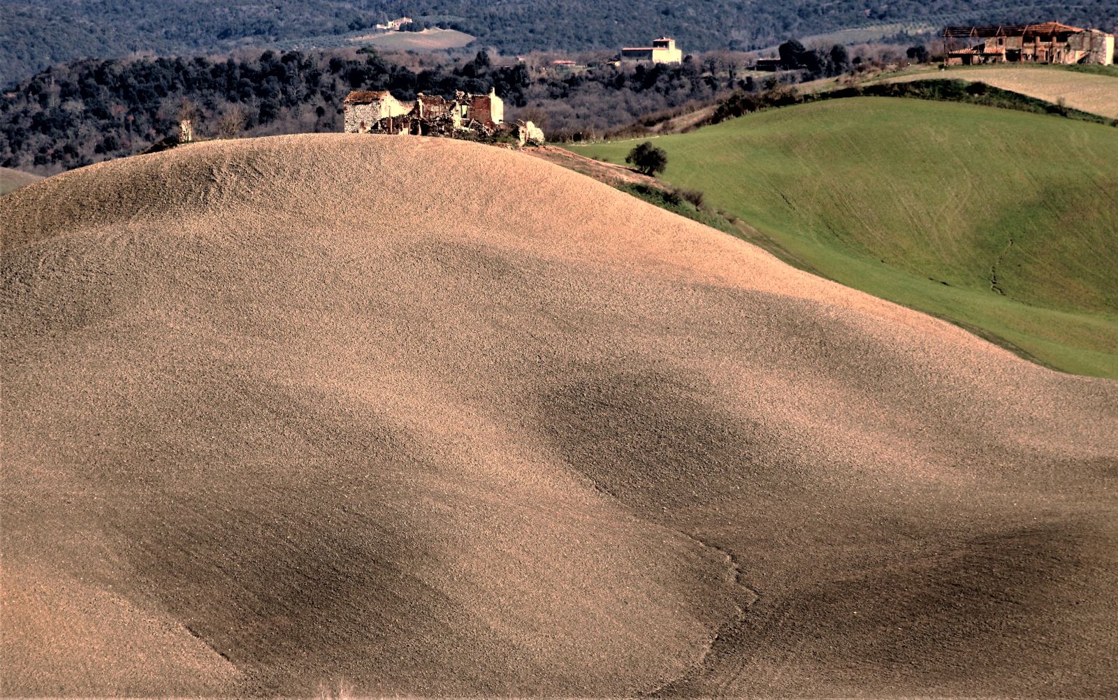 Le rovine