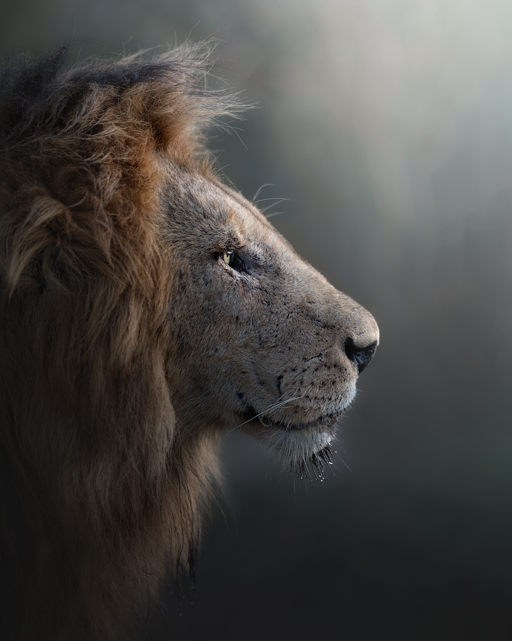 "The beginning of a new day"