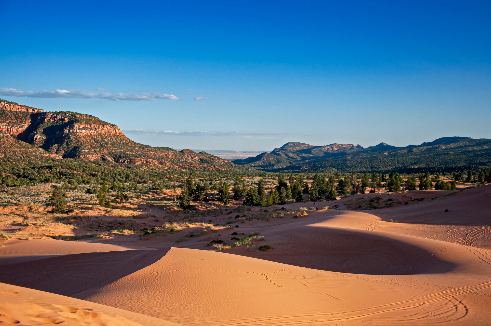 Coral Pink Sand Dunes