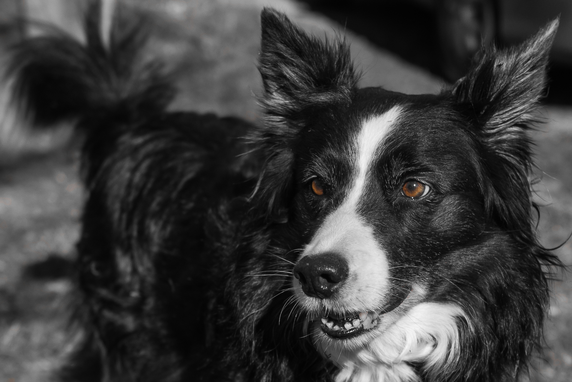 Gli occhi sono lo specchio dell'anima