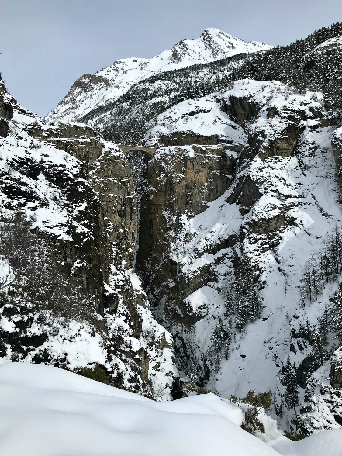 138 anni e 108 metri di altezza