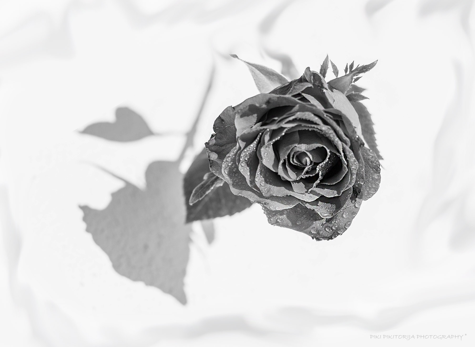 A volte l'ombra riceve un altro significato