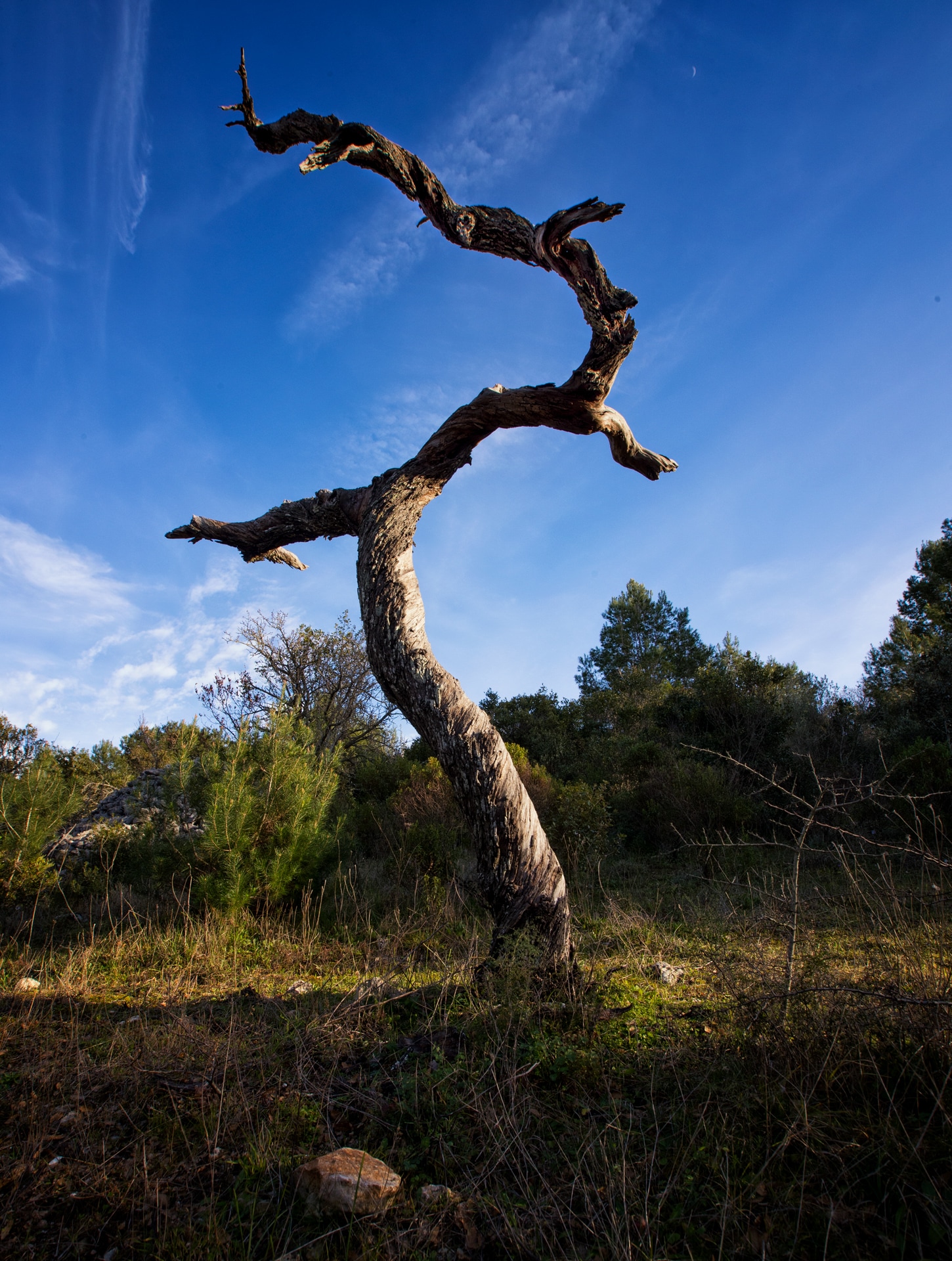 Trekking along the Pugliese Aqueduct trail