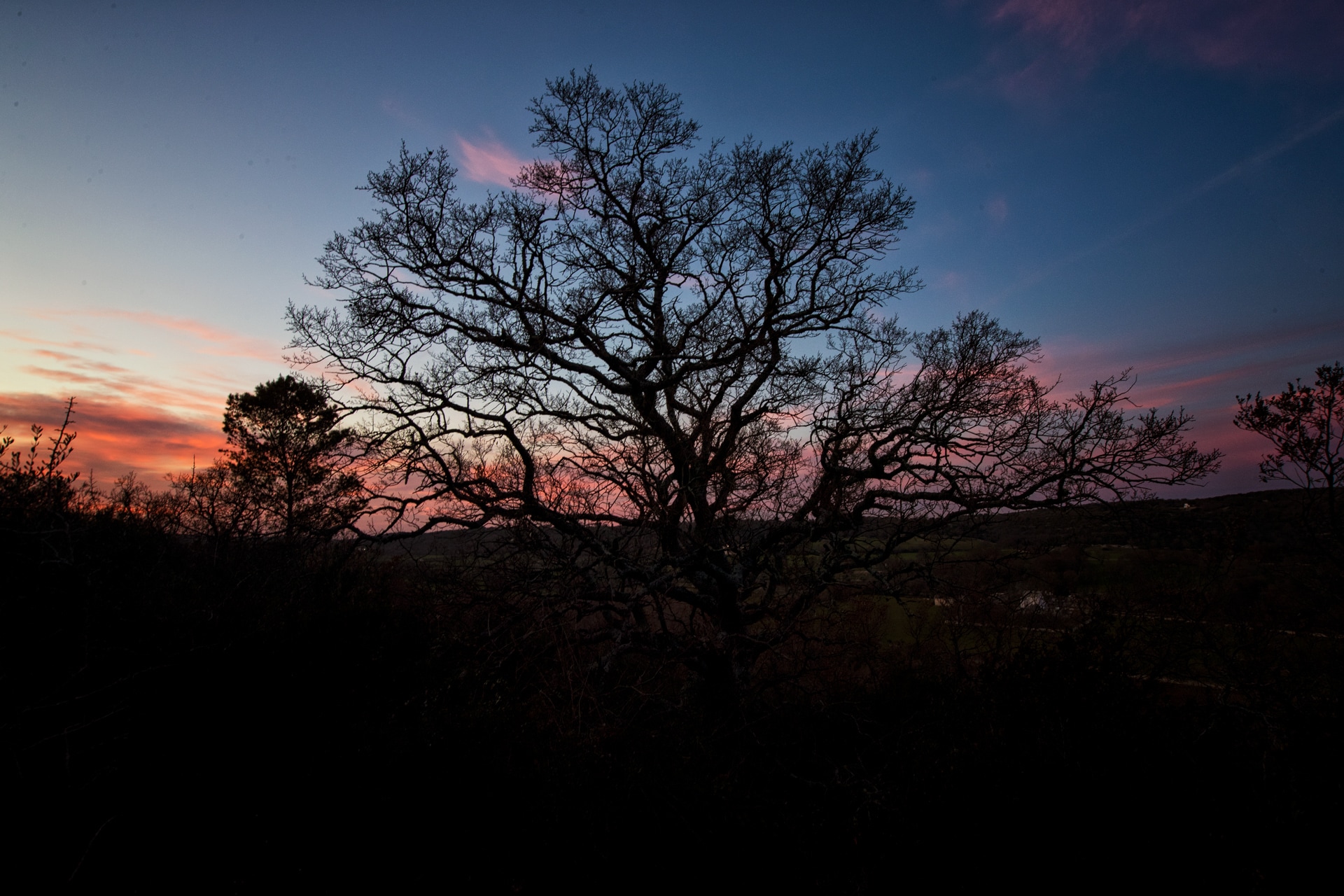 Trekking along the Pugliese Aqueduct trail
